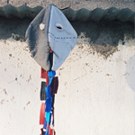 Plants: image 4 0f 4 thumb