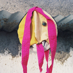 Plants: image 1 0f 4 thumb