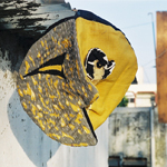 Plants: image 1 0f 4 thumb