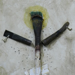 Plants: image 2 0f 4 thumb