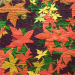 Plants: image 1 0f 4 thumb