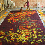 Plants: image 4 0f 4 thumb