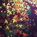 Plants: image 1 0f 4 thumb