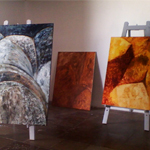 Plants: image 4 0f 4 thumb