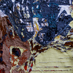 Plants: image 1 0f 4 thumb