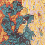 Plants: image 1 0f 4 thumb