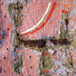 Plants: image 3 0f 4 thumb