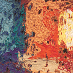 Plants: image 4 0f 4 thumb