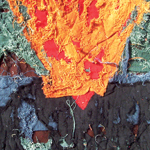 Plants: image 1 0f 4 thumb