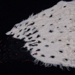 Plants: image 3 0f 4 thumb