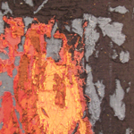 Plants: image 4 0f 4 thumb