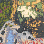 Plants: image 1 0f 4 thumb