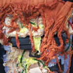 Plants: image 4 0f 4 thumb