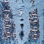 Plants: image 4 0f 4 thumb