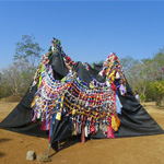 Plants: image 4 0f 4 thumb